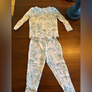 Posh Peanut 2 piece pajama set